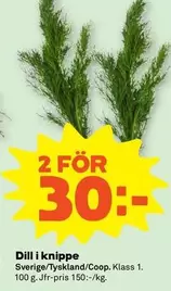 Coop - Dill i knippe