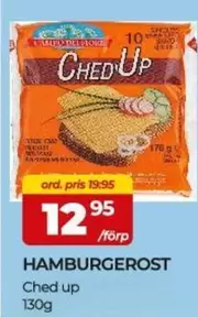 CHED'UP HAMBURGEROST