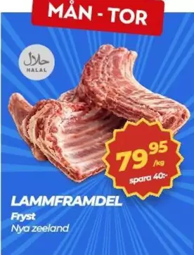 LAMMFRAMDEL