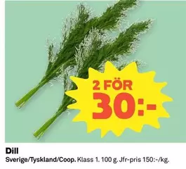 Coop - Dill