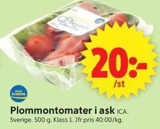 Plommontomater