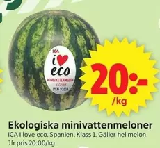 Minivattenmeloner