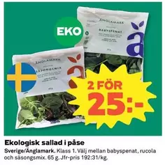 Änglamark - Ekologisk sallad