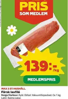 Färsk laxfilé