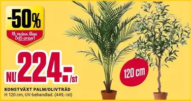 KONSTVÄXT PALM/OLIVTRÄD