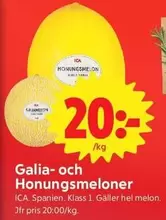 Galia- och Honungsmeloner