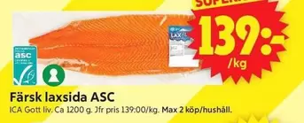 Färsk lax sida