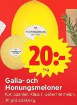 Galia- och Honungsmeloner