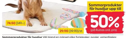 Sommarprodukter för husdjur