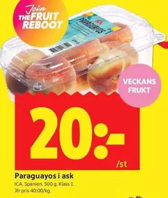 Paraguayos i ask
