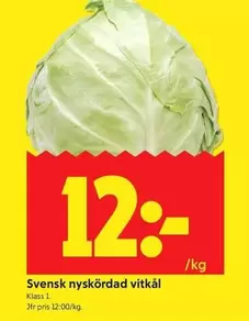 Svensk nysköRdad vitkål