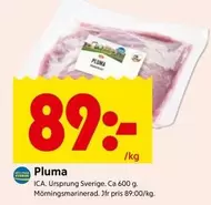 Pluma