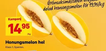 Honungsmelon hel