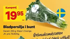 Garant - Bladpersilja i bunt