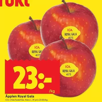 Äpplen Royal Gala