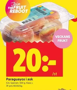 Paraguyos