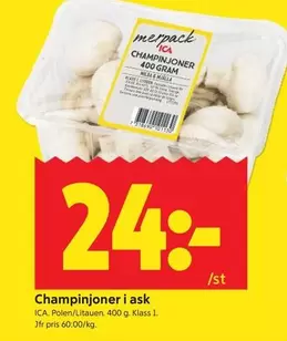 Milda - Champinjoner