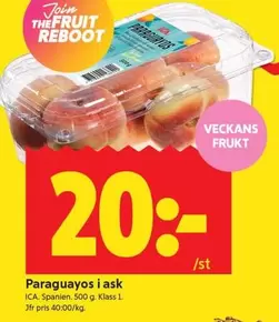 Paraguayos