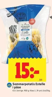 Sommarpotatis