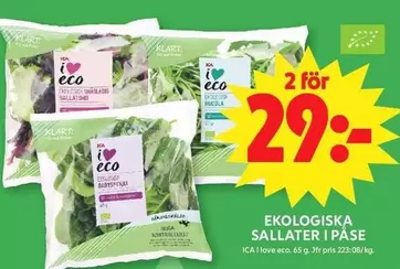 EKOLOGISKA SALLATER I PÅSE