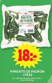 PIMIENTO DE PADRON