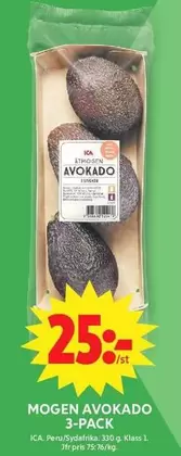MOGEN AVOKADO 3-PACK