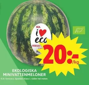 EKOLOGISKA MINIVATTENMELONER