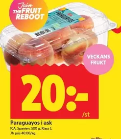 Paraguyos
