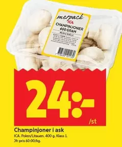 Champinjoner