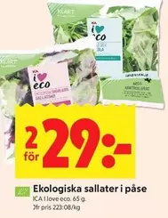 Ekologiska sallater