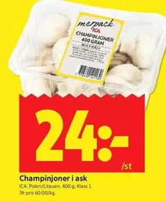 Champinjoner