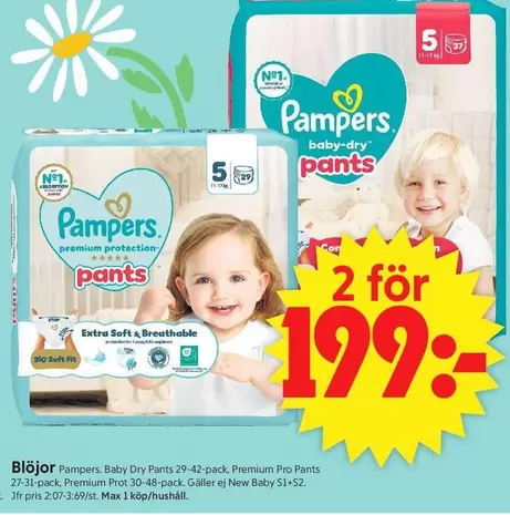 Pampers - Baby Dry Pants