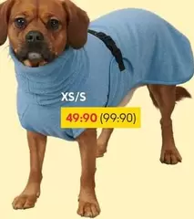 Dog Coat