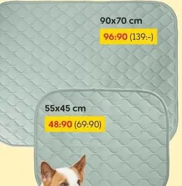 Dog Mat