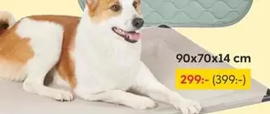 Dog bed