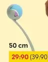 Cat Toy