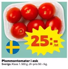 Plommontomater