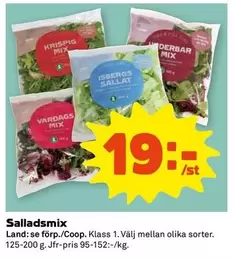 Salladsmix