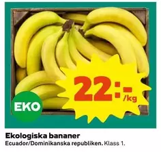 EKO - Ekologiska bananer