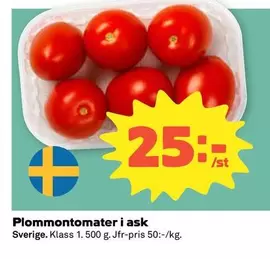Plommontomater