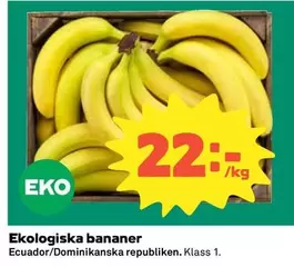 EKO - Ekologiska bananer
