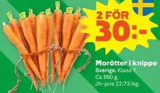 Morötter i knippe