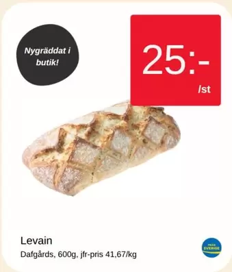 Levain