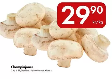 Champinjoner