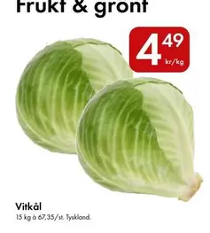 Vitkål