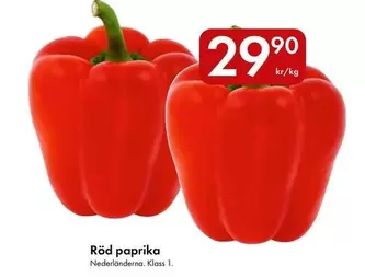 Röd paprika