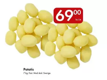 Potatis