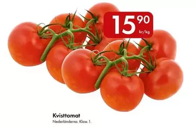 Kvisttomat