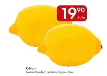 Citron