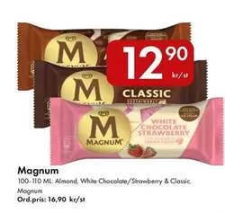 magnum - Magnum